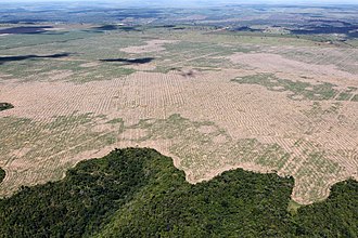 Deforestación en la Amazonia